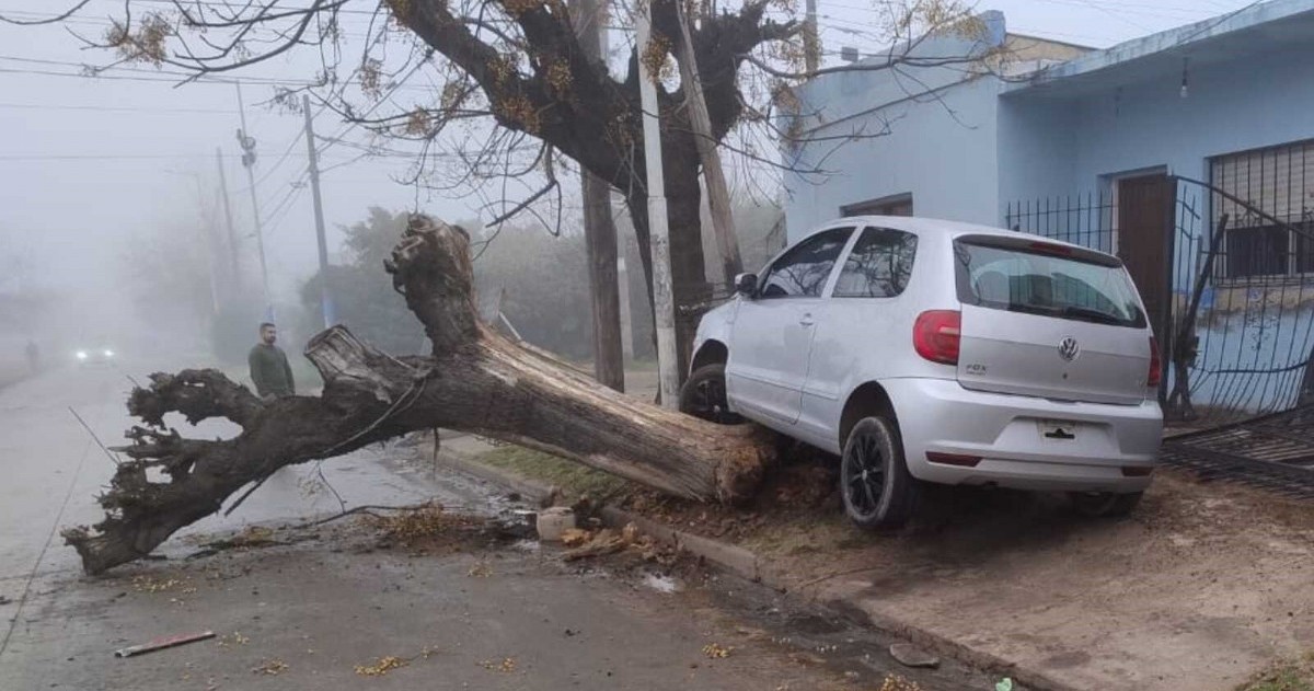 Cómo quedó el coche.