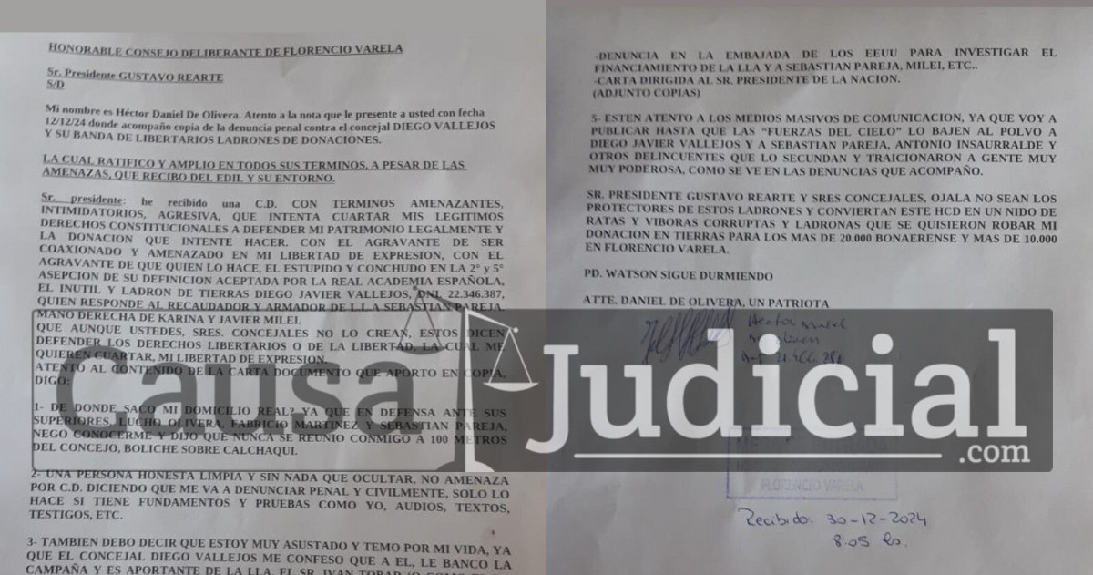 Nota presentada en la mesa de entradas. (Foto: Causa Judicial)