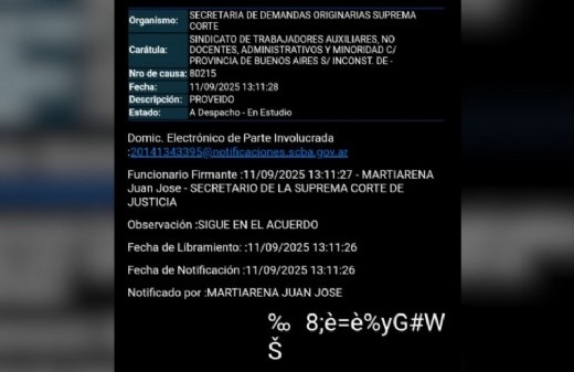 La Corte mantiene pendiente un pedido de Minoridad pese al respaldo de trabajadores de doce institutos