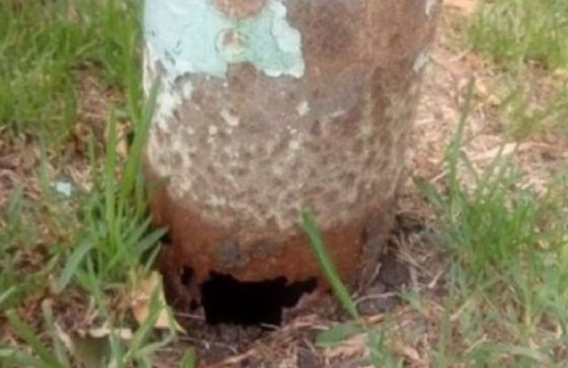 Un incidente con una columna de alumbrado en Mar del Plata terminará con un pago millonario al propietario de un vehículo