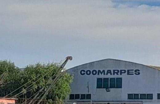 Maturana redobló sus críticas y expuso otra vez la situación ambiental que sacude a Mar del Plata