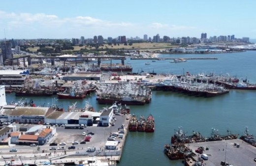 La reserva de lobos marinos también resultó afectada por el estado del Puerto de Mar del Plata