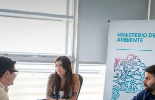 La aplicación de normas contra emisiones contaminantes genera polémica tras una causa frenada en Buenos Aires